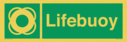 lifebuoy-with-symbol~